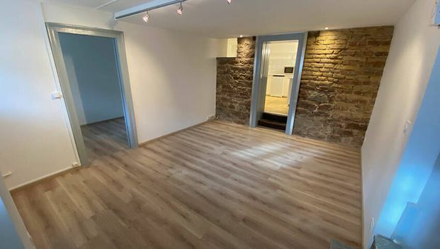 A LOUER - 2 PIECES - HYPER CENTRE - STRASBOURG - Photo 1