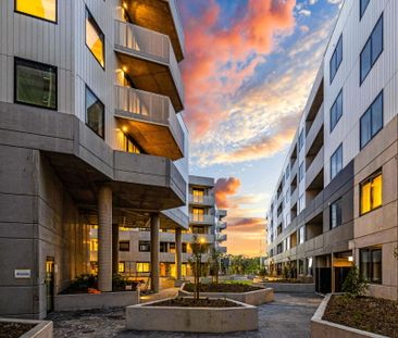 305/38 Oakden Street, Greenway ACT 2900 - Apartment For Rent | Domain - Photo 5