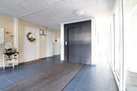 Willem de Bruynstraat - Photo 3