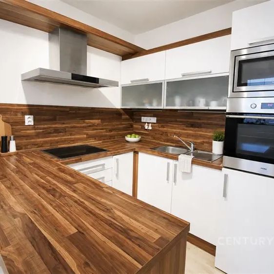 Pronájem útulného bytu 1+KK s balkonem v Žabovřeskách - Fotografie 1