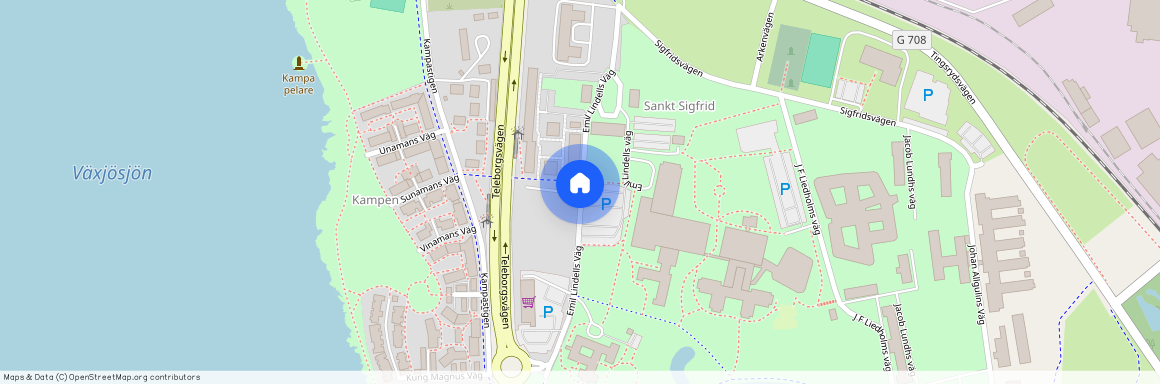 Emil Lindells väg, Växjö