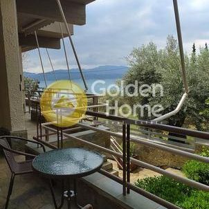 Διαμέρισμα για ενοικίαση Θεολόγος (Μαλεσίνα) - Φωτογραφία 1