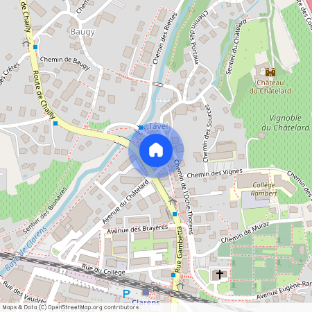 Rue du Sacre-du-Printemps 11b, 1815, Clarens