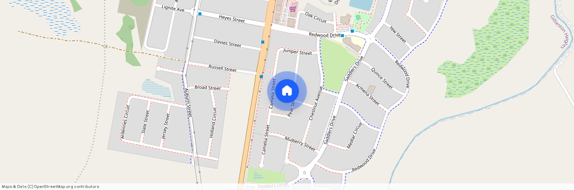 20 Pear Street, Gillieston Heights NSW 2321