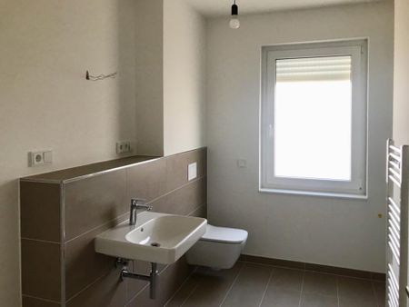 Ökosiedlung: Barrierefreie 3-ZKB mit Loggia und Blick auf den Taunus - Photo 5