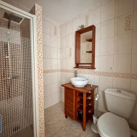 Location Appartement 1 pièce 27m² TOURS 37000 - Photo 3