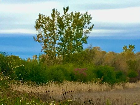 For Lease - 4576 Kalar Road, Niagara Falls, Ontario - Photo 3