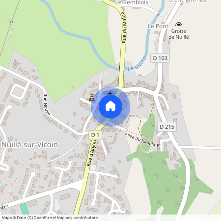 NUILLE SUR VICOIN - 53