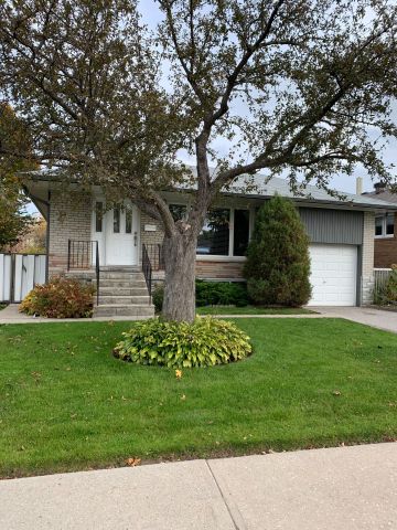 For Lease - 54 Graylee Avenue Unit# Main, Toronto, Ontario - Photo 3