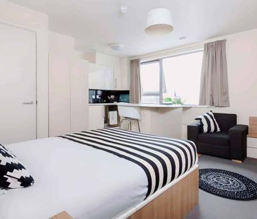 Medium High Double Studio - Photo 4