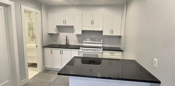 1 CH - 1 SDB - Montréal - $1,100 /mo - Photo 2