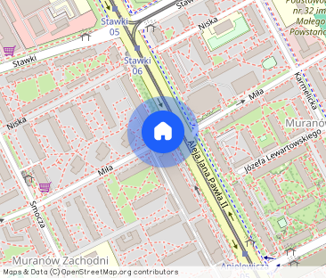 garaż, Niska, Warszawa - Zdjęcie 1