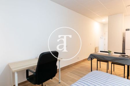 Monthly rental Studio with 1 bedroom, 1 bathroom near green parcs in Latina - Photo 3
