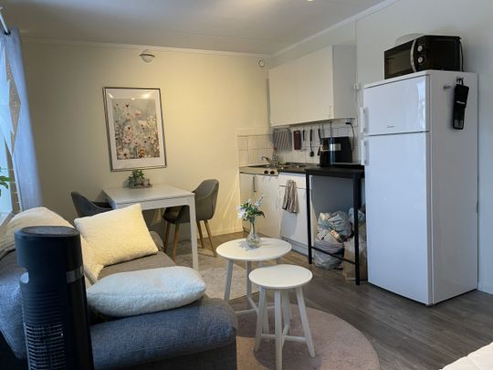 Liten 1:a Centralt - Photo 1