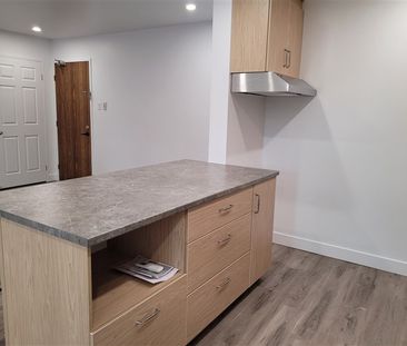 4½ 2060-207, rue Gauthier, Sherbrooke, (juillet) J1H 6A5 - Photo 5