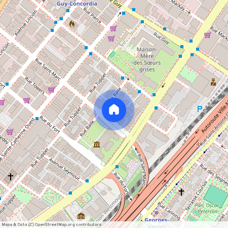 Nouveauté, 1197 Rue St-Marc, app. B, Montréal (Ville-Marie), H3H2E4