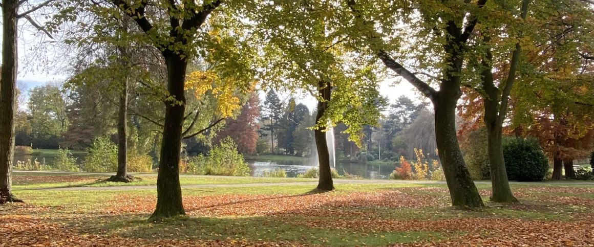 DIREKT AM SCHÖNWASSERPARK: HOCHWERTIGE 2-ZIMMER-WOHNUNG ZU MIETEN! - Photo 1