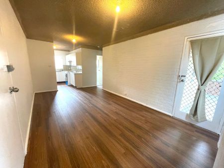 Modern Unit! - Photo 4