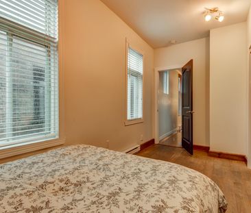 Condo for rent, Montréal (Le Plateau-Mont-Royal) - Photo 3