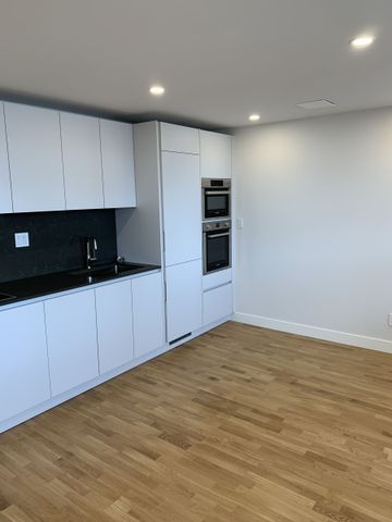 230 Oak Street - Photo 3