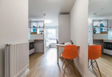 Gold Studio - Photo 5