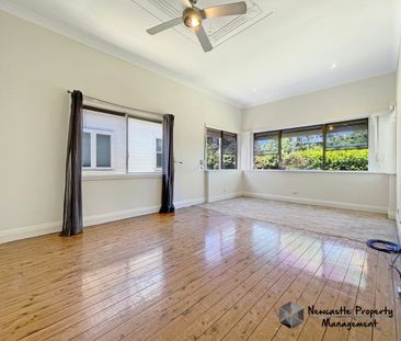 339 Maitland Road, Mayfield West - Photo 6
