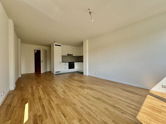 3.5 Zimmer, 72 m², EG - Photo 1