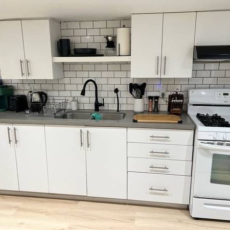 Newly renovated furnished 1 bedroom apartment - Photo 4