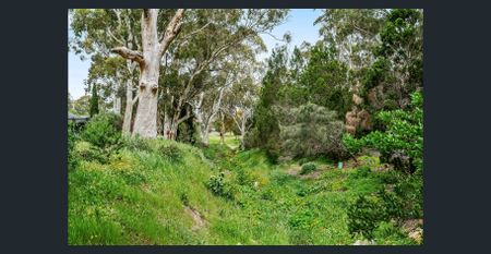 Stunning 4 Bedroom home in great location - Photo 5