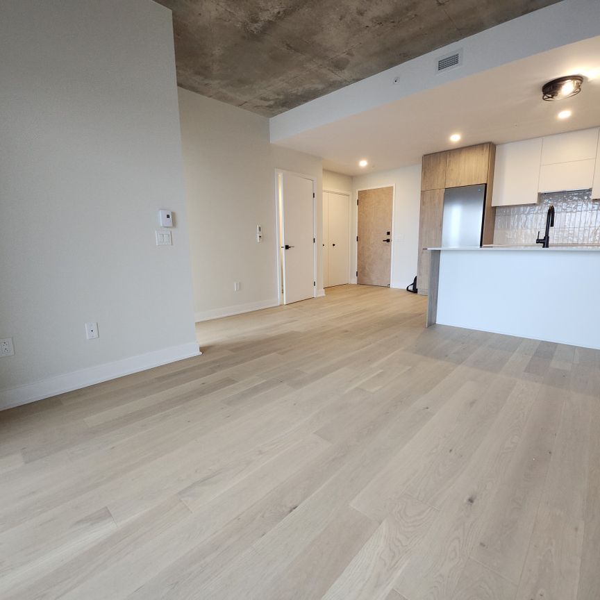 5605 Avenue Pierre-De Coubertin, #515 - Photo 1