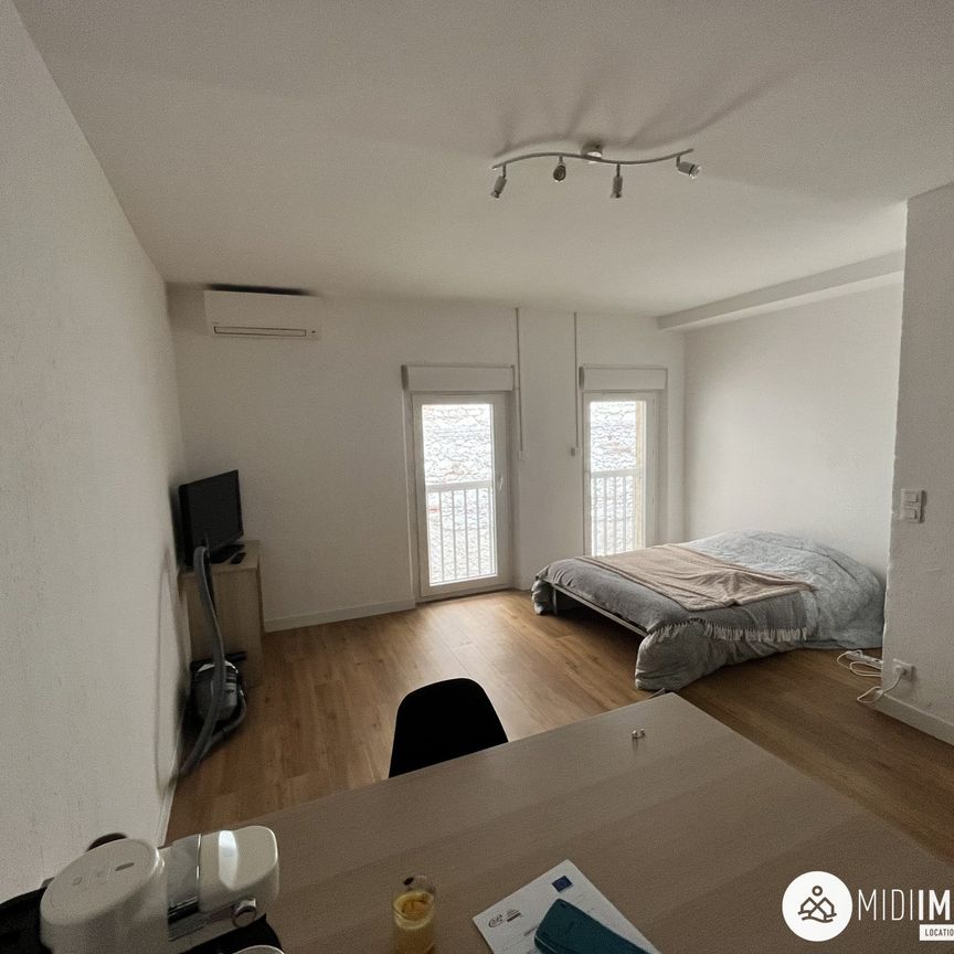 Location Appartement 1 pièce 27m² ALBI 81000 - Photo 2