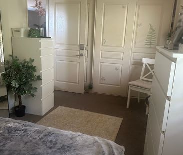 Rankin Park - Photo 5