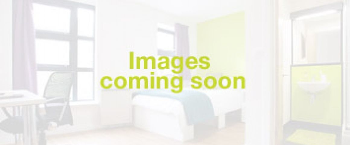 1 Bedroom Studio - Photo 1