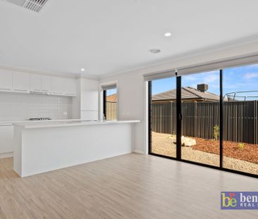 Modern Home in Huntly - Photo 6