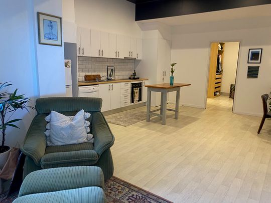 3/20-22 Fred St, Lilyfield NSW 2040 - Apartment For Rent | Domain - Photo 1