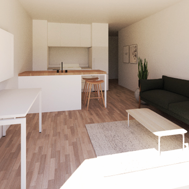 Logements NEUF 4.5 & 3.5 - Sherbrooke - Photo 1