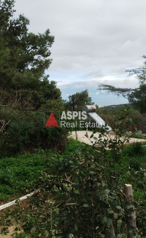 Διαμέρισμα, προς ενοικίαση Περιβολάκια, Ραφήνα Κωδικός 2172121 - Photo 4