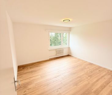 Frisch renovierte 4.5 Zimmer-Wohnung mit herrlicher Aussicht - Foto 3