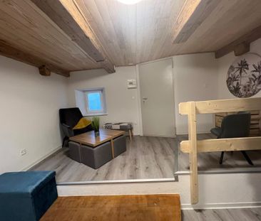 Très agréable duplex rénové situé entre le château et le jardin bot... - Foto 6