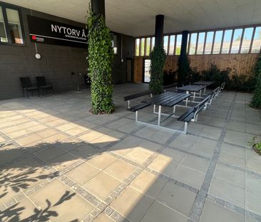 NYTORV 2,205. 6000 KOLDING – LEJLIGHED MED ALTAN I SENIORBOFÆLLESSK... - Photo 3