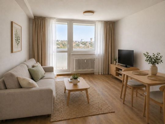 Pronájem bytu 1+kk a garsoniéry 24 m² - Fotografie 1