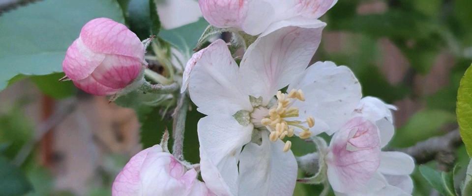 1.Zi.Wohnung/Büro mit kochnische,Wohnen/Schlafen,Bad/WC - Foto 1