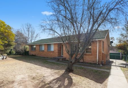 26 Mawson Drive, Mawson ACT, Belconnen - Photo 5