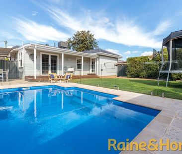 Central South Gem - Photo 4