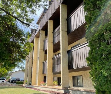 2 BDRM/1.5 BATH - River Trails/Lawson Mall - AVAILABLE FEB 7 - Photo 5