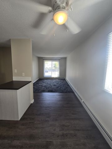 Beautiful Modern One Bedroom Available Now - Photo 4