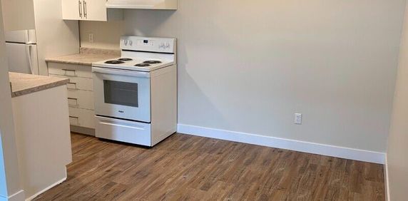CARMAN MANOR 1 BEDROOM SUITE - Photo 2