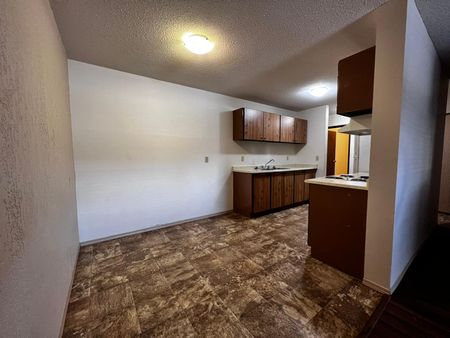 Spacious 2 Bedroom Unit in Innisfail! - Photo 4