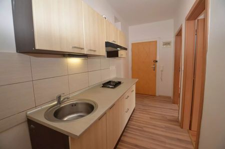 Krásný byt 2+kk / 39m2, Praha 3, Žižkov, ul. Biskupcova - Fotografie 4