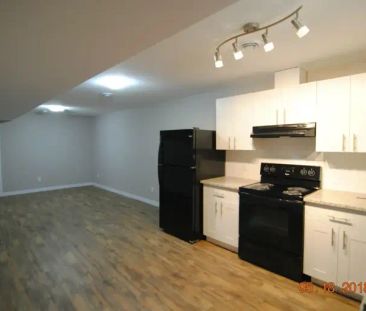 Spacious updated 3 Bed 1 Bath Basement Suite*Private Laundry*Pet Fr... - Photo 1